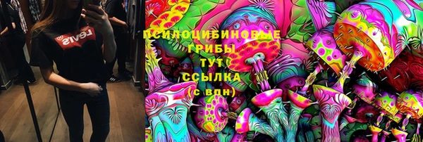 МДПВ Армянск