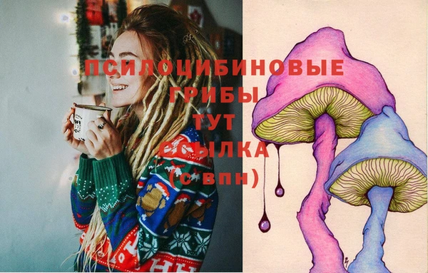 герыч Аркадак