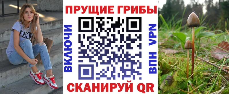 Галлюциногенные грибы мицелий  МЕГА сайт  Байкальск  где купить наркоту 